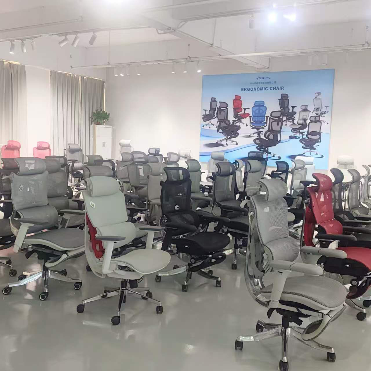 About<br>Xilongi